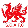 Swansea City