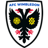 AFC Wimbledon U18 AFC Wimbledon U18