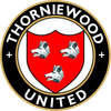 Thorniewood United FC