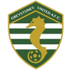 Greystones United Greystones United