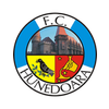 FC Hunedoara
