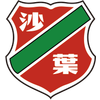 Nanjing Shaye (-2019)
