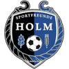 Sportfreunde Holm Sportfreunde Holm