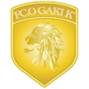 FC Ogaki K'