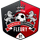 FC Fleury 91