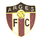 FC Arges Pitesti (- 2013)