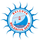 Balcova Yasam Spor (1991-2018)