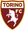 FC Turin