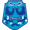 FC Chester