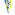 FK Studena