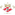 Spartak Pochep Spartak Pochep