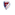 Crvena Zvezda Pavlis Crvena Zvezda Pavlis